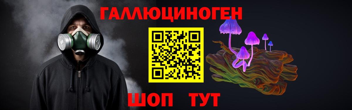 Псилоцибиновые грибы Psilocybine cubensis  Вход с VPN  Курчалой 